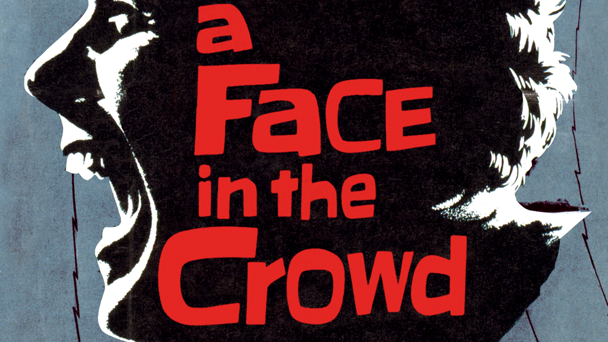 A Face in the Crowd