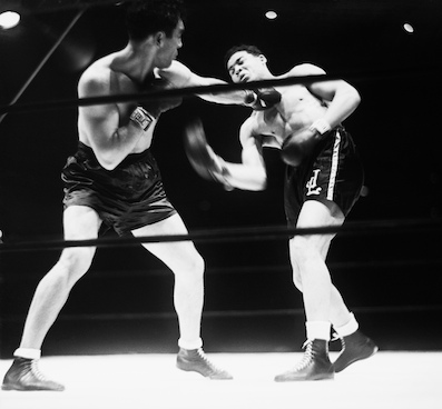 The Fight