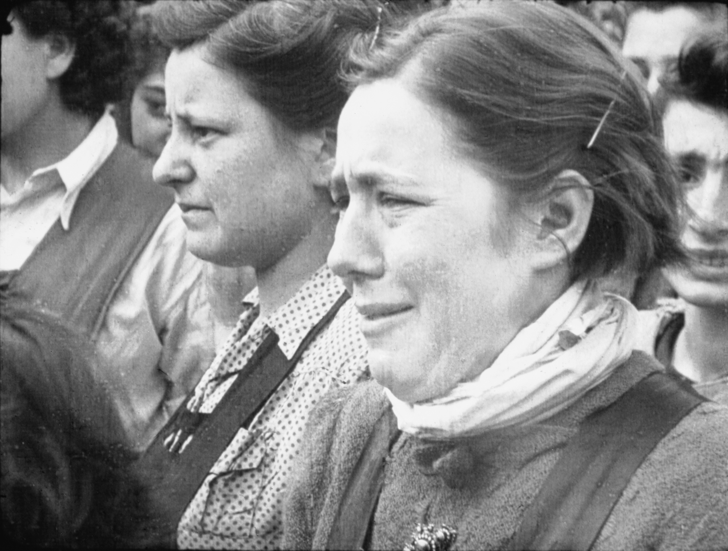 German Concentration Camps Factual Survey